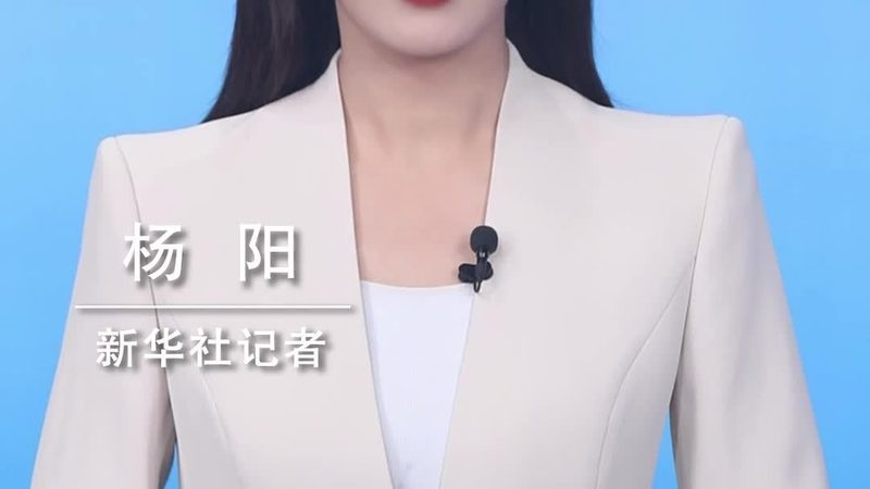 制造业企业数字化平台搭建：关键要素与实施路径